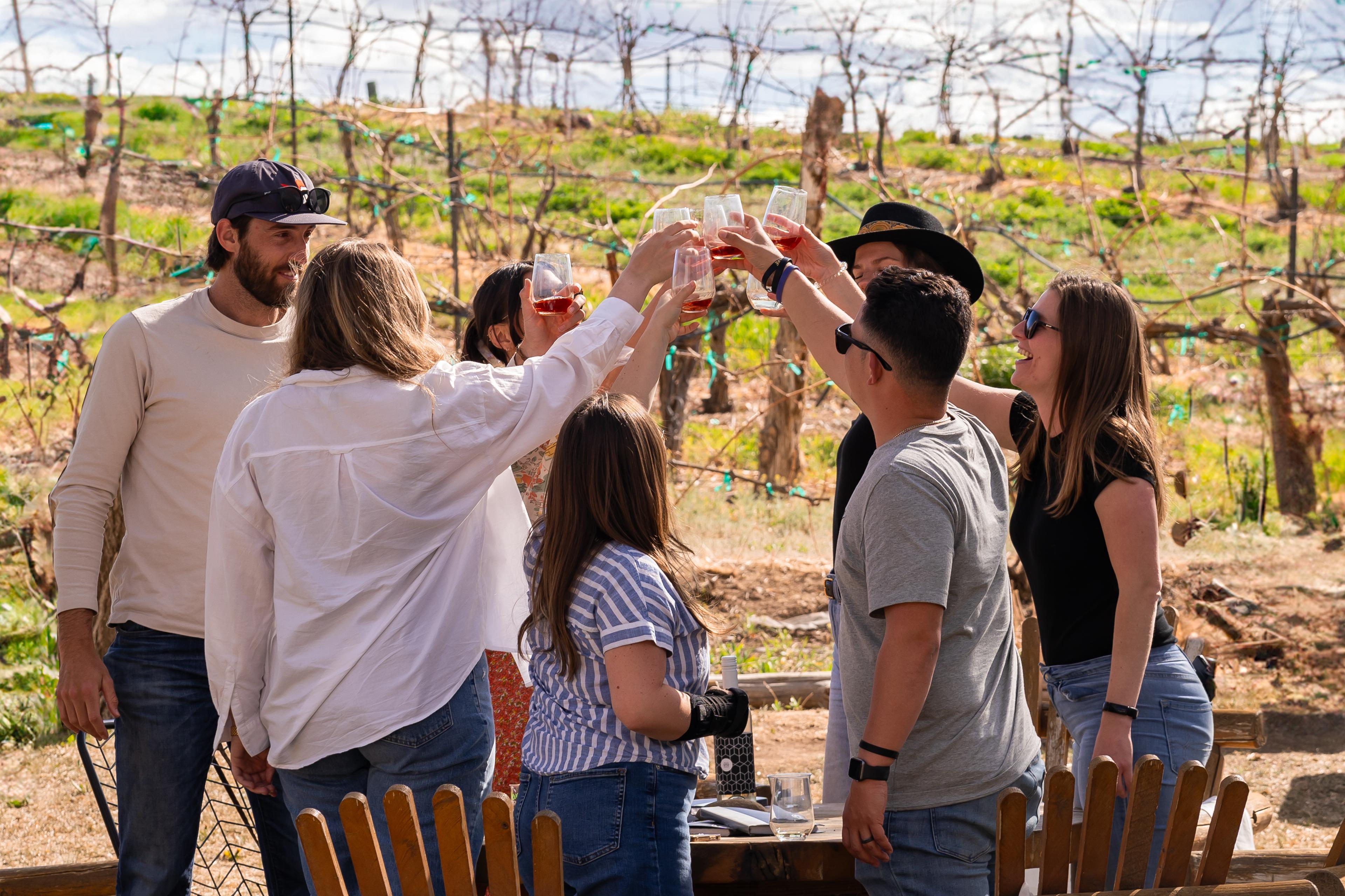 A group of friends raising glasses for a toast at an outdoor vineyard, surrounded by grapevines and sunny weather.